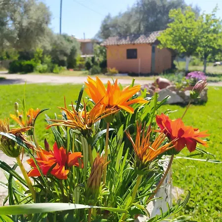 The Paradise Of Katerina Nyaraló