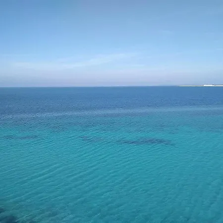 The Paradise Of Katerina Fríni