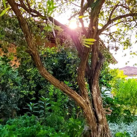 The Paradise Of Katerina *