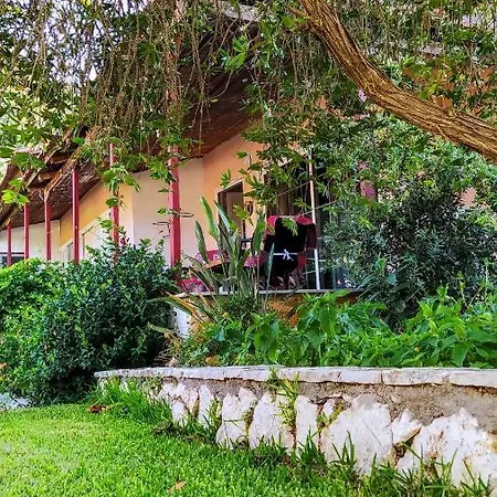 The Paradise Of Katerina Frínion