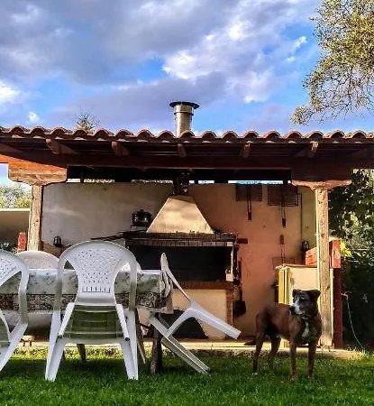 The Paradise Of Katerina